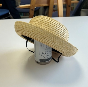 麦わら帽子1.jpg